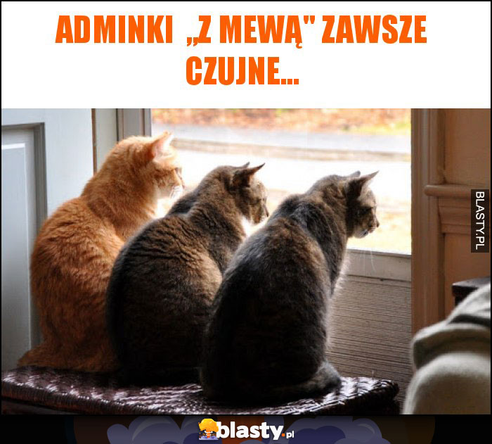 Adminki  „Z mewą