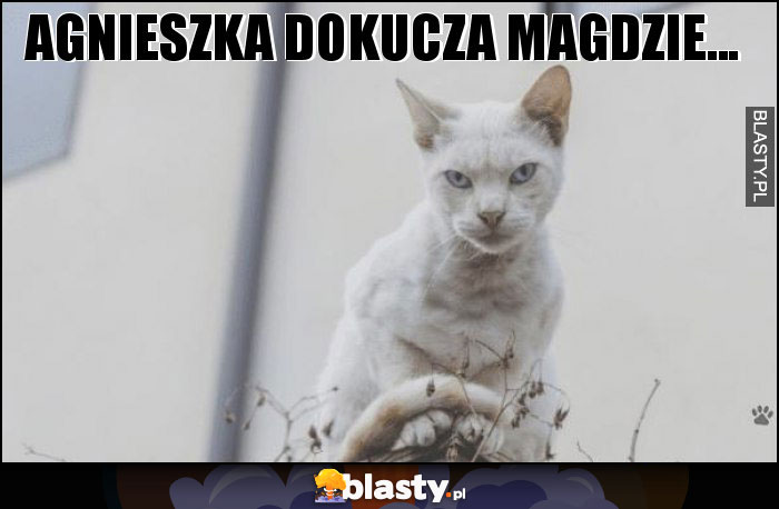 Agnieszka dokucza Magdzie...