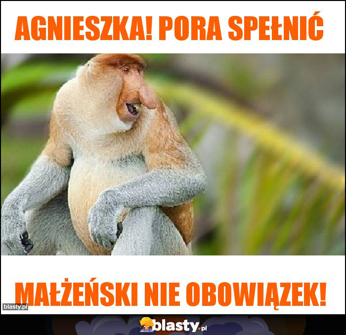 Agnieszka! Pora spełnić