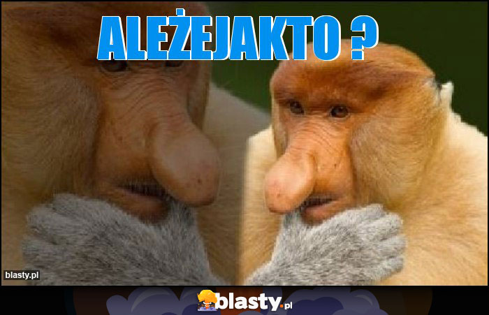 ALEŻEJAKTO ?