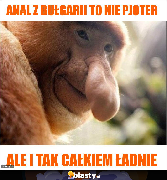 Anal z Bułgarii to nie Pjoter