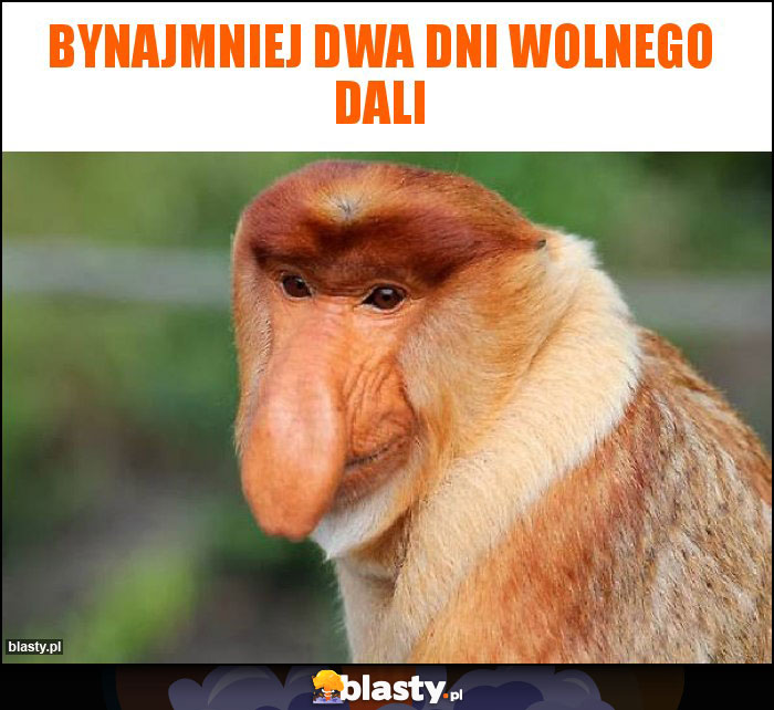 Bynajmniej dwa dni wolnego dali