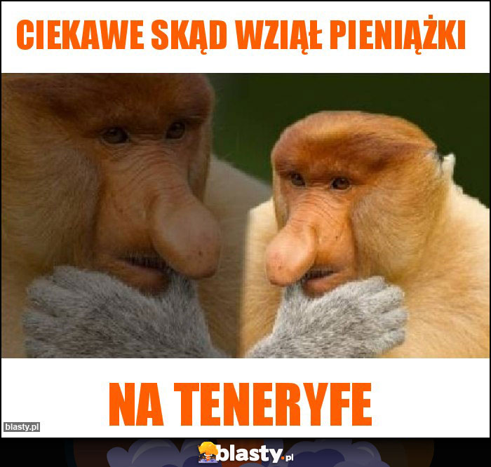 ciekawe skąd wziął pieniążki