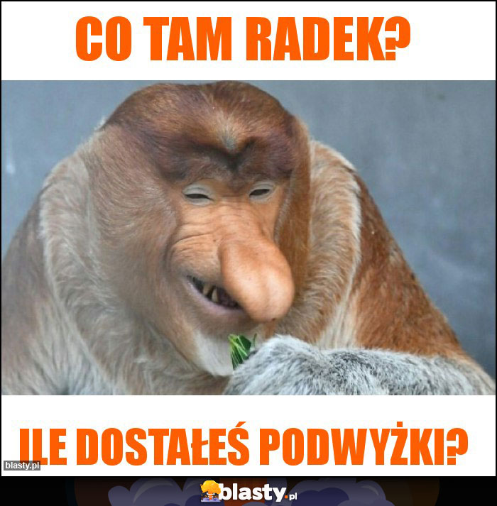 Co tam Radek?