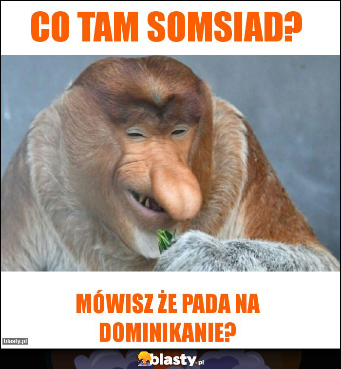 Co tam somsiad?