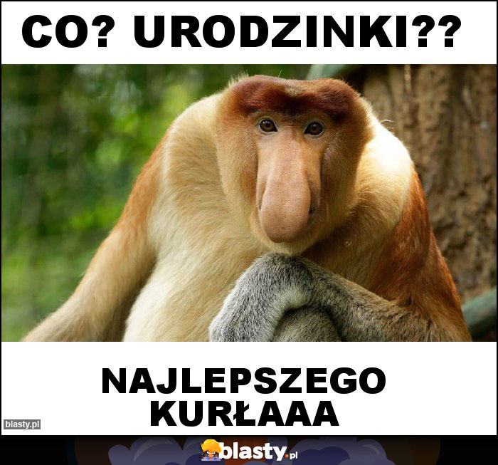 Co? Urodzinki??