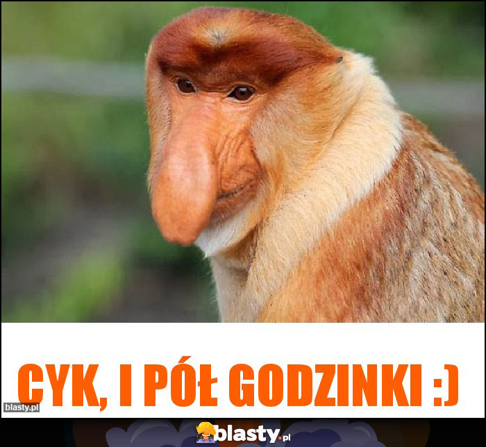 CYK, I PÓŁ GODZINKI :)