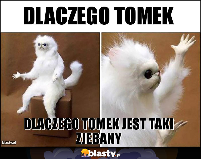 dlaczego Tomek