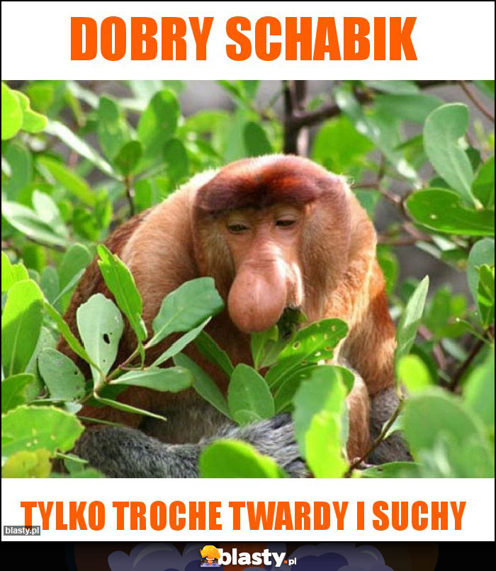 Dobry schabik