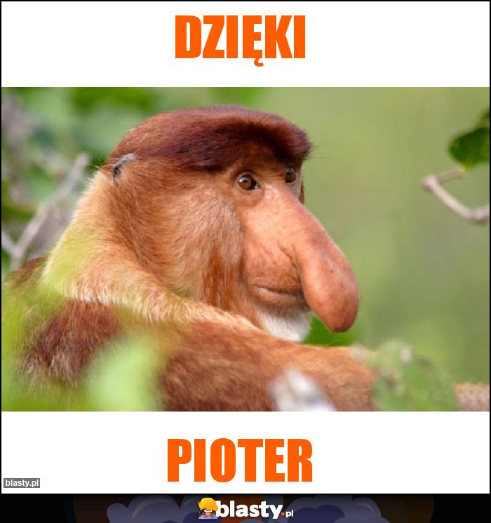 Dzięki