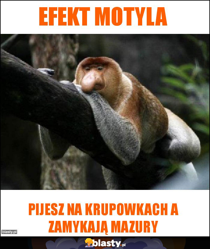 Efekt motyla