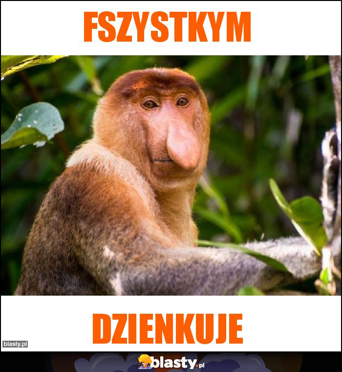 Fszystkym