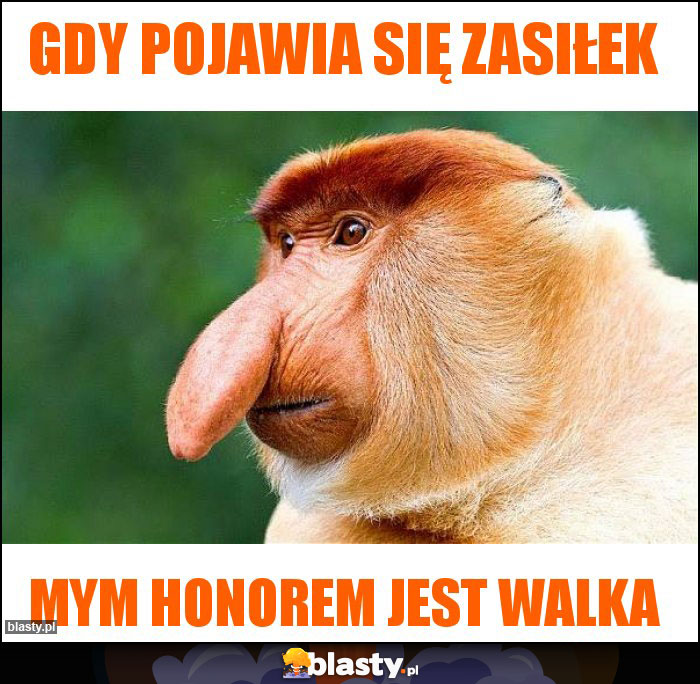 Gdy pojawia się zasiłek