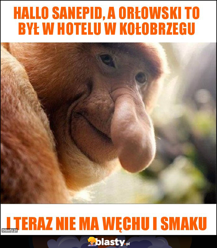 Hallo Sanepid, a orłowski to był w hotelu w kołobrzegu