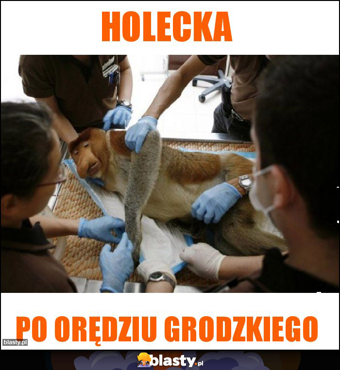 Holecka