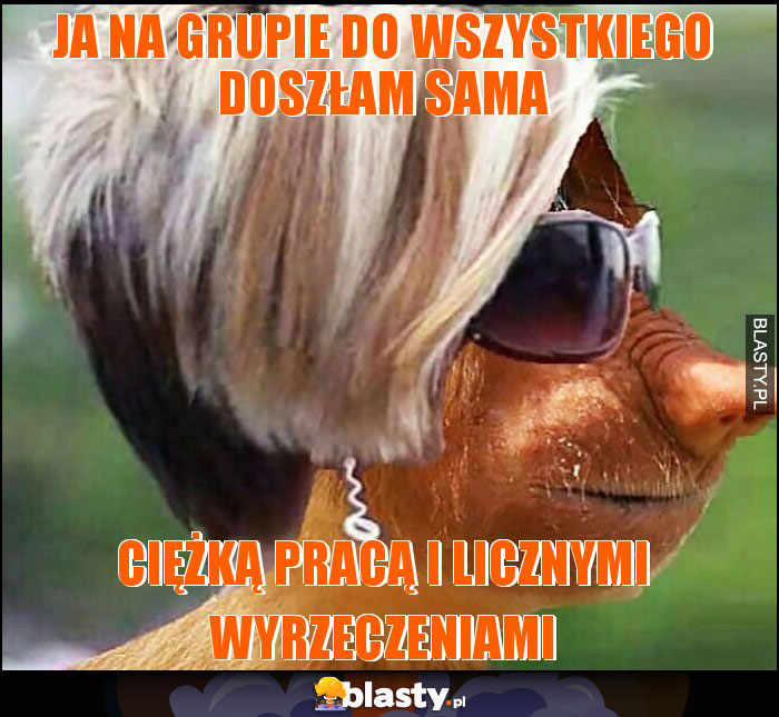 JA NA GRUPIE DO WSZYSTKIEGO DOSZŁAM SAMA