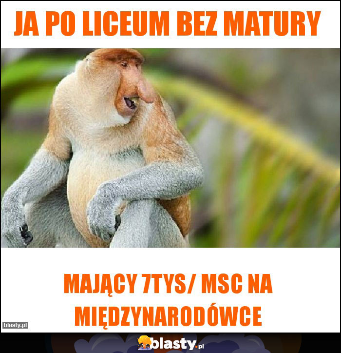 Ja po liceum bez matury