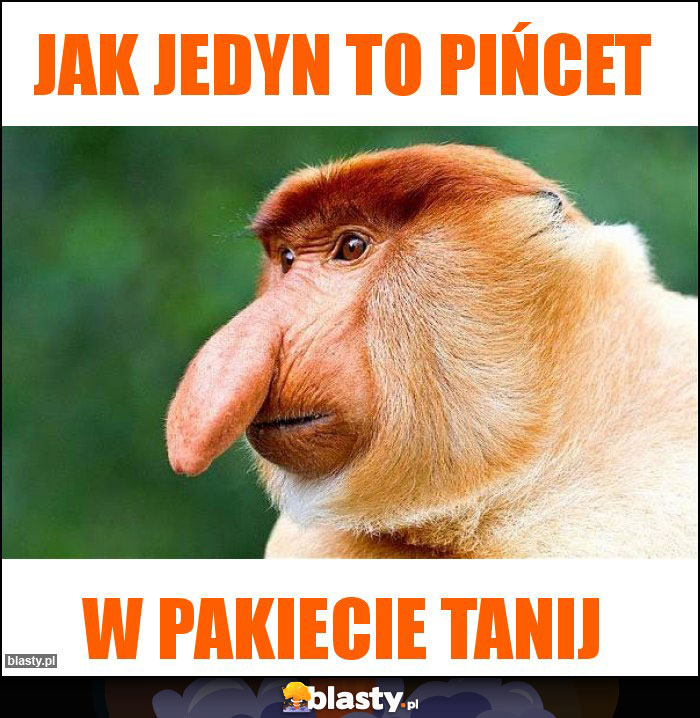 Jak jedyn to pińcet