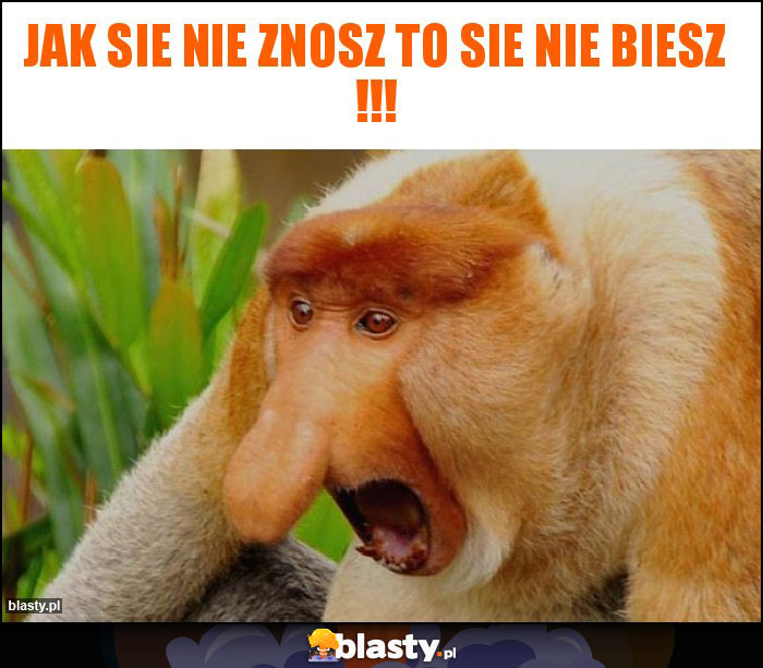 JAK SIE NIE ZNOSZ TO SIE NIE BIESZ !!!