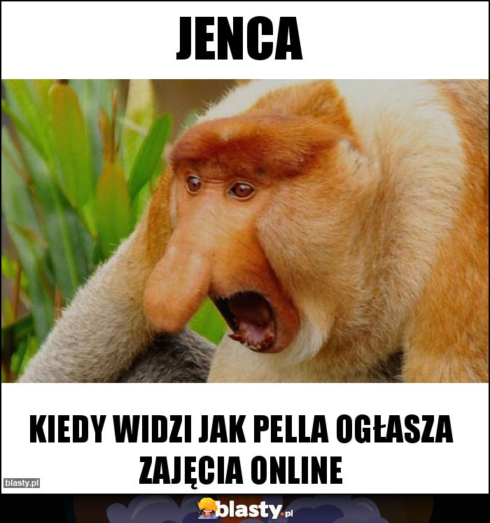 Jenca