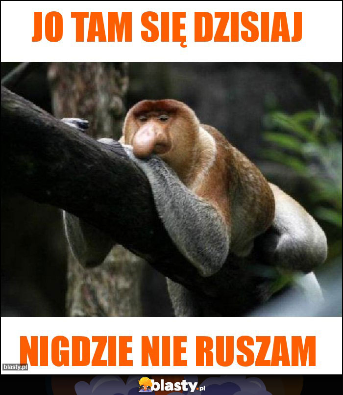 Jo tam się dzisiaj