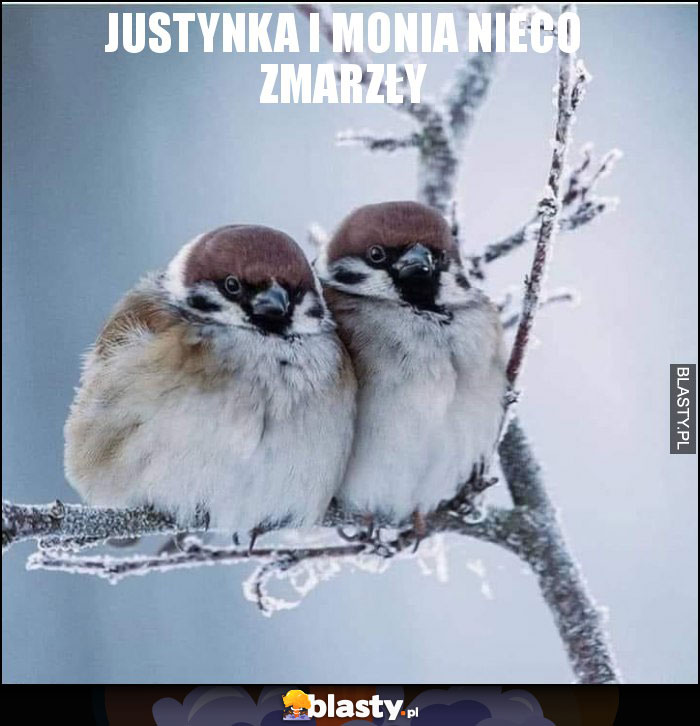 Justynka i Monia nieco zmarzły