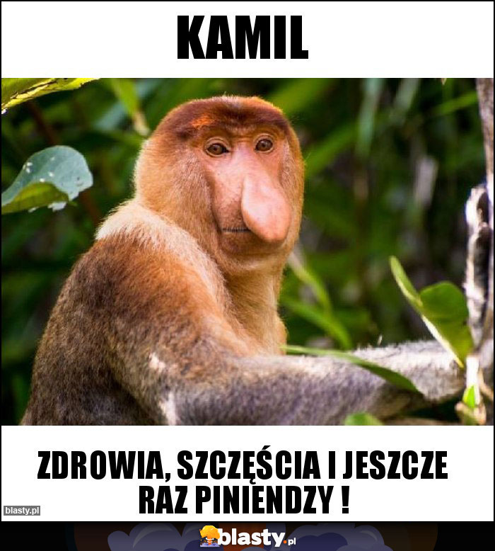 KAMIL