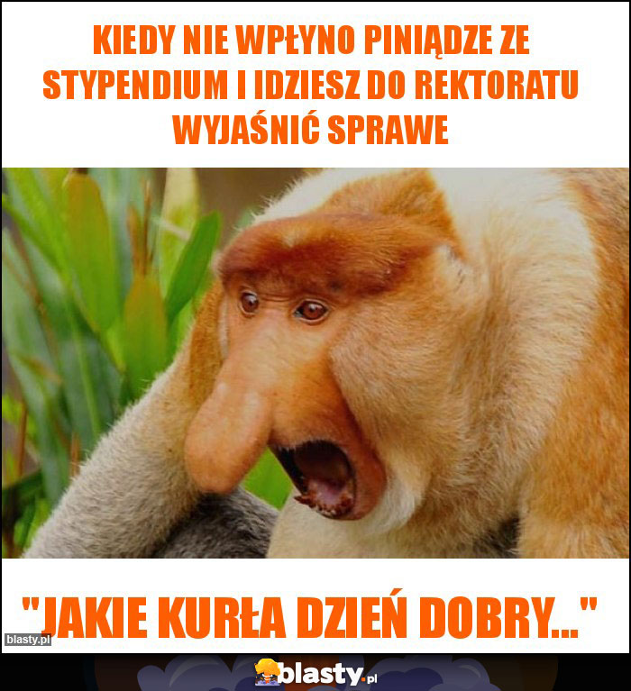 Kiedy nie wpłyno piniądze ze stypendium i idziesz do rektoratu wyjaśnić sprawe