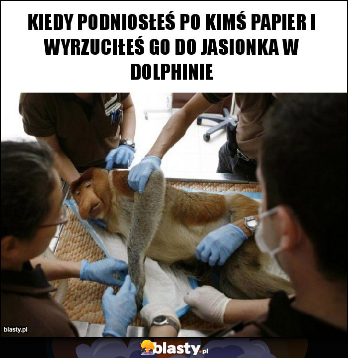 Kiedy podniosłeś po kimś papier i wyrzuciłeś go do jasionka w dolphinie