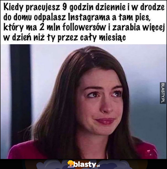 Kiedy pracujesz 9 godzin dziennie i w drodze do domu na instagramie widzisz psa który ma 2 mln followersów i zarabia więcej w dzień niż ty przez cały miesiąc