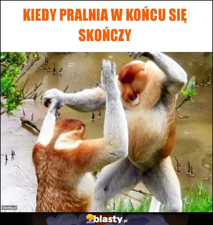 Kiedy pralnia w końcu się skończy