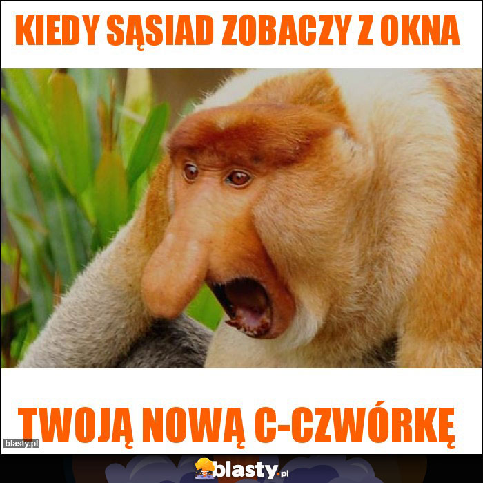 Kiedy sąsiad zobaczy z okna