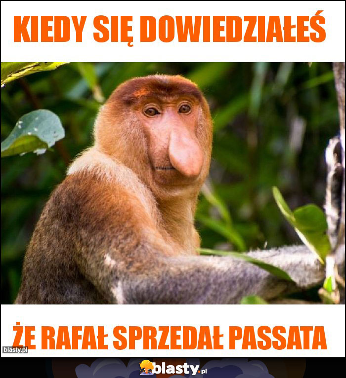 Kiedy się dowiedziałeś