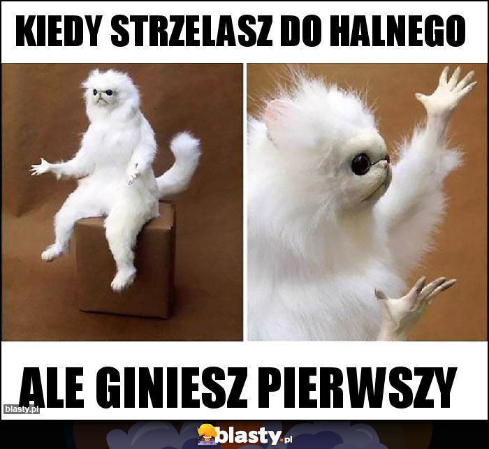 Kiedy strzelasz do Halnego