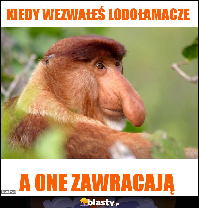 Kiedy wezwałeś lodołamacze