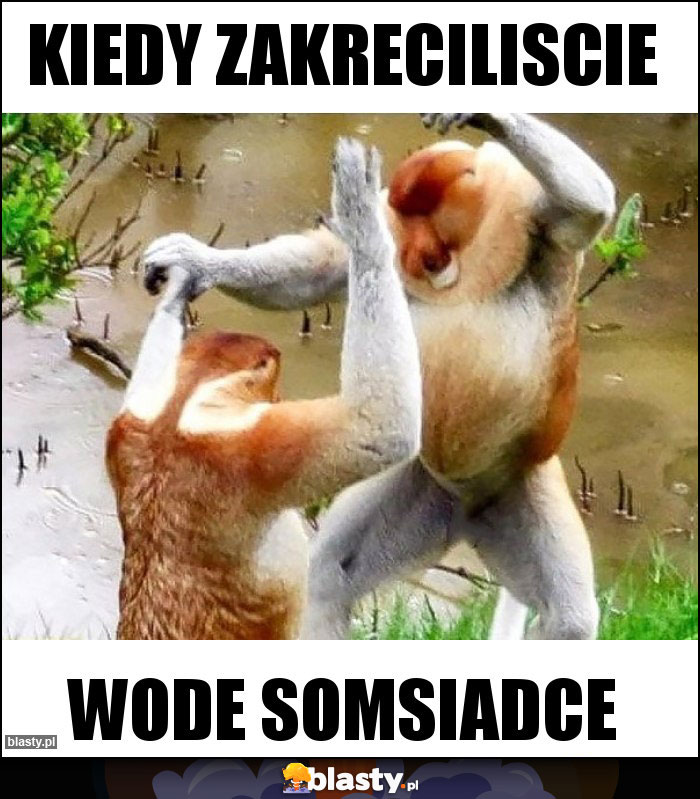 Kiedy zakreciliscie