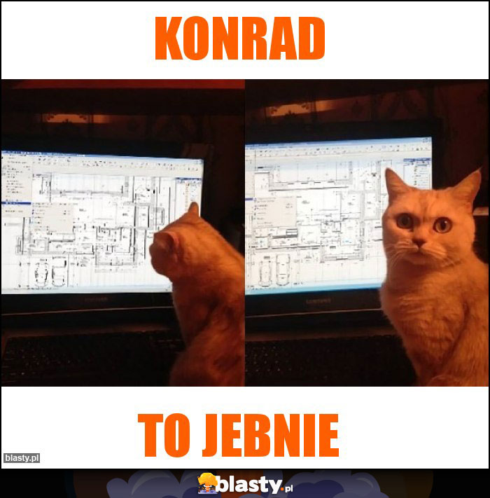 Konrad