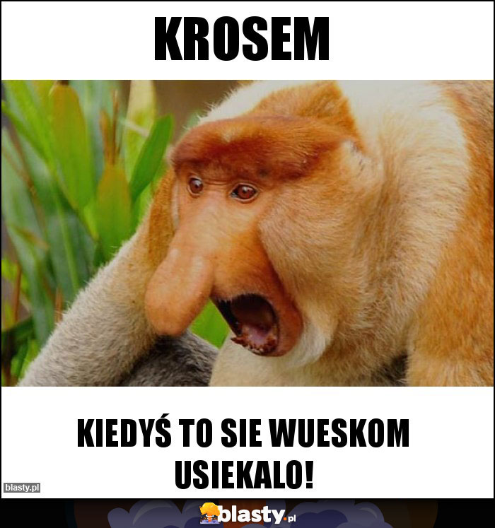 krosem