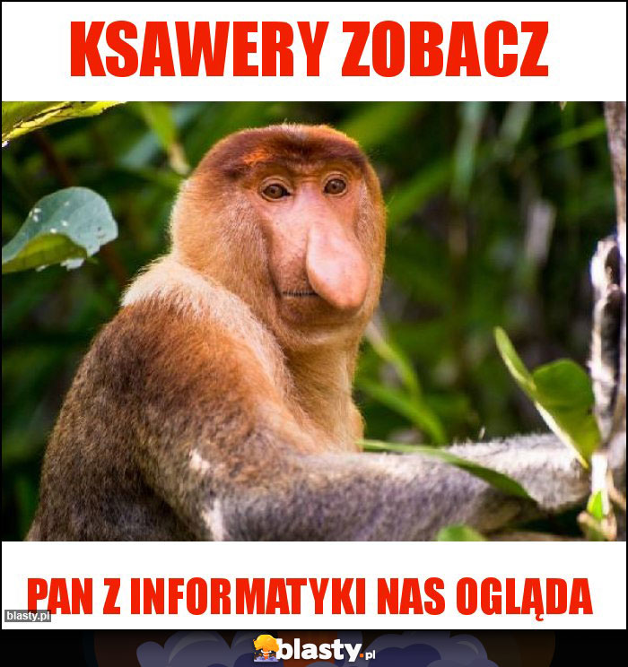 Ksawery zobacz