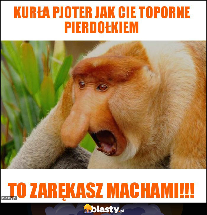 Kurła pjoter jak cie toporne pierdołkiem