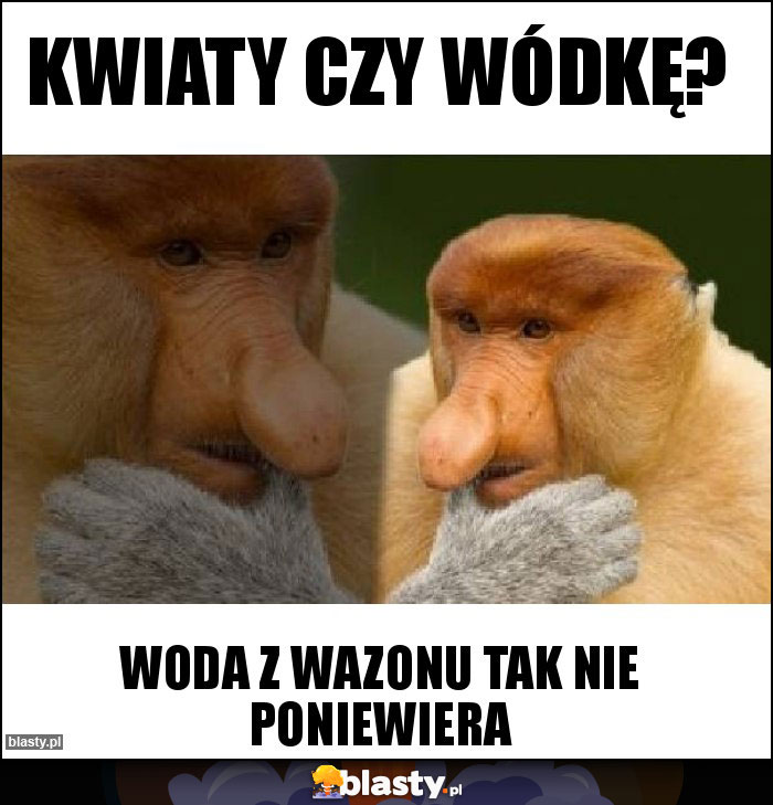 Kwiaty czy wódkę?