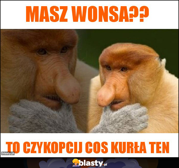 Masz Wonsa??