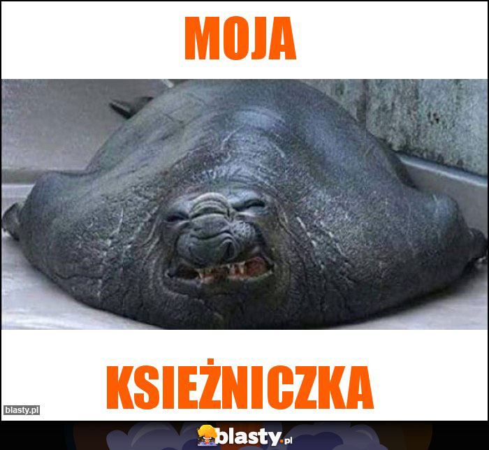 Moja