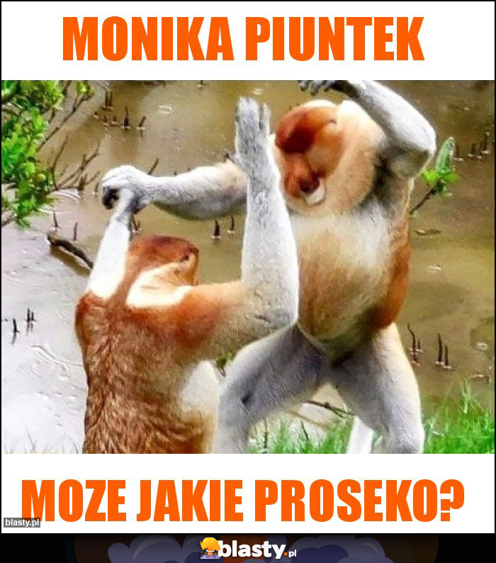 MONIKA PIUNTEK