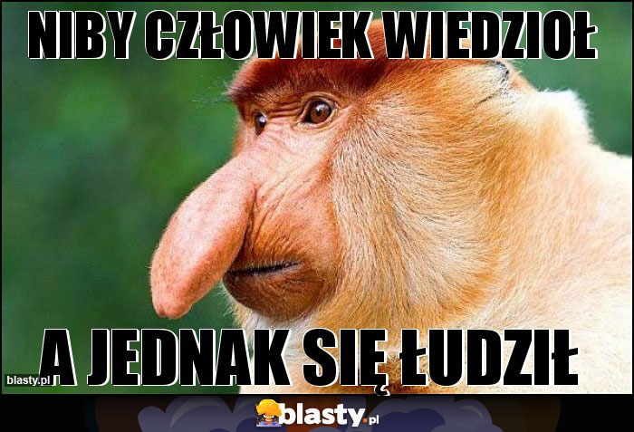 NIBY CZŁOWIEK WIEDZIOŁ