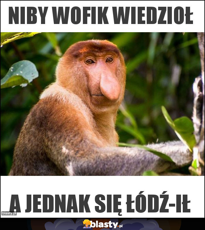 Niby wofik wiedzioł