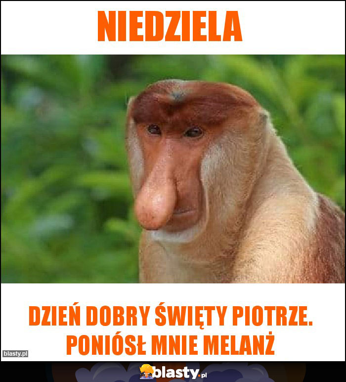 Niedziela