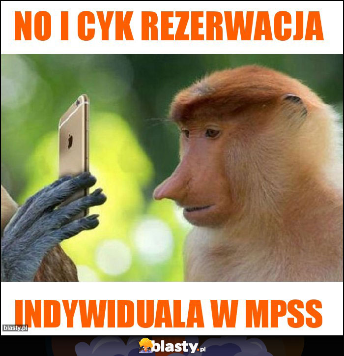 No i cyk rezerwacja