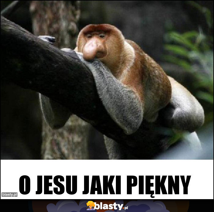 O jesu jaki piękny