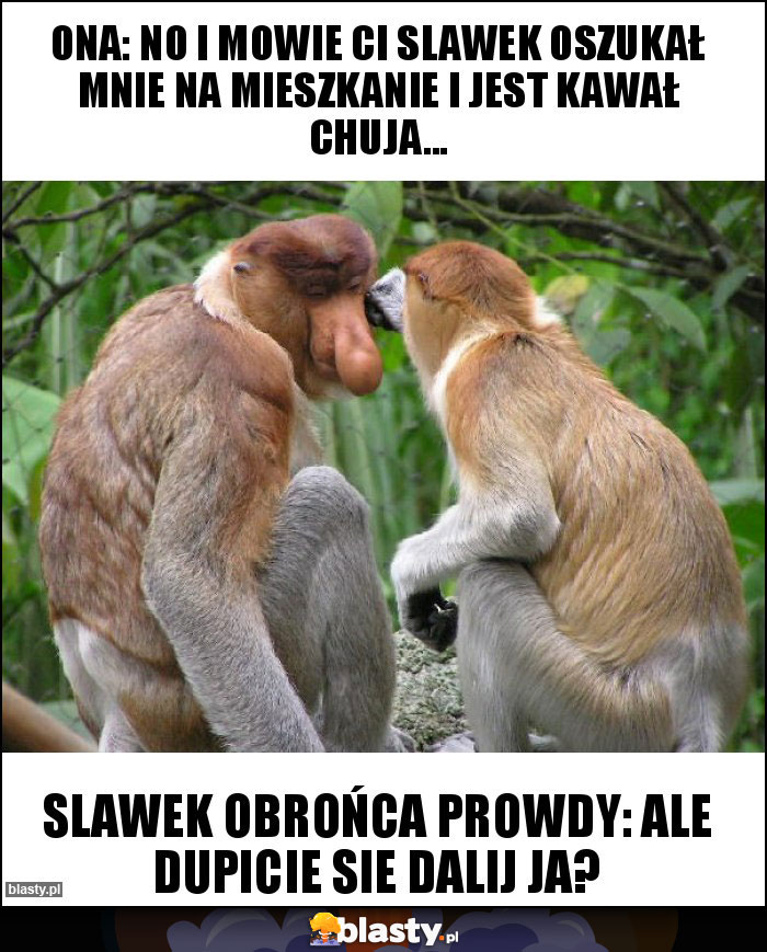 ONA: NO I MOWIE CI SLAWEK OSZUKAŁ MNIE NA MIESZKANIE I JEST KAWAŁ CHUJA...